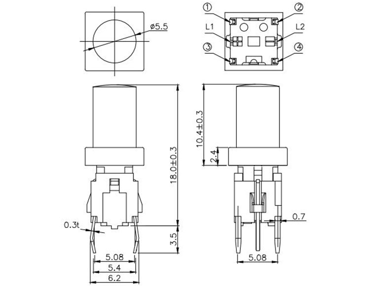 TS9-00TXX.jpg